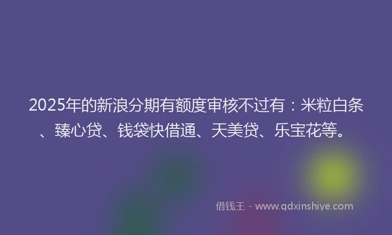 2025年的新浪分期有额度审核不过有：米粒白条、臻心贷、钱袋快借通、天美贷、乐宝花等。