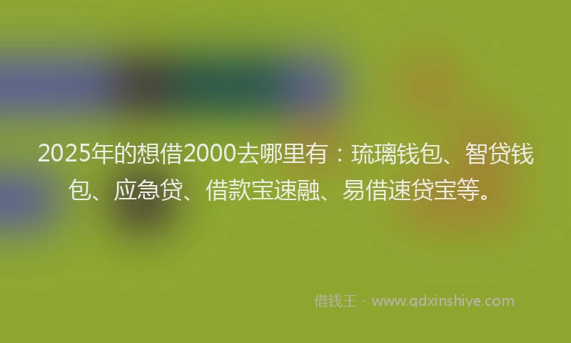 2025年的想借2000去哪里有：琉璃钱包、智贷钱包、应急贷、借款宝速融、易借速贷宝等。
