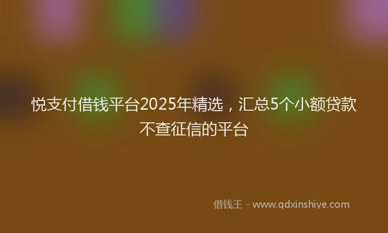 悦支付借钱平台2025年精选，汇总5个小额贷款不查征信的平台