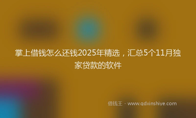 掌上借钱怎么还钱2025年精选，汇总5个11月独家贷款的软件