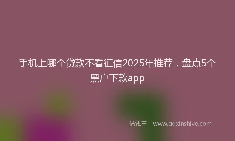 手机上哪个贷款不看征信2025年推荐，盘点5个黑户下款app