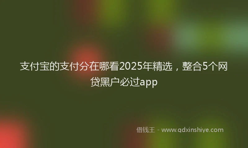 支付宝的支付分在哪看2025年精选，整合5个网贷黑户必过app