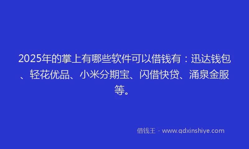 2025年的掌上有哪些软件可以借钱有：迅达钱包、轻花优品、小米分期宝、闪借快贷、涌泉金服等。