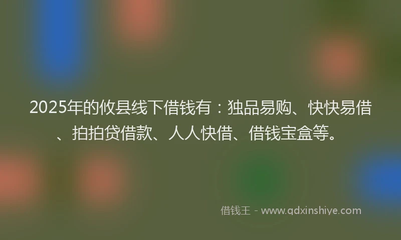 2025年的攸县线下借钱有：独品易购、快快易借、拍拍贷借款、人人快借、借钱宝盒等。
