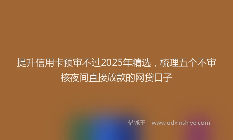 提升信用卡预审不过2025年精选，梳理五个不审核夜间直接放款的网贷口子
