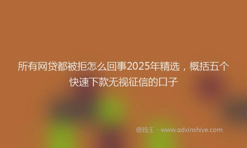 所有网贷都被拒怎么回事2025年精选，概括五个快速下款无视征信的口子