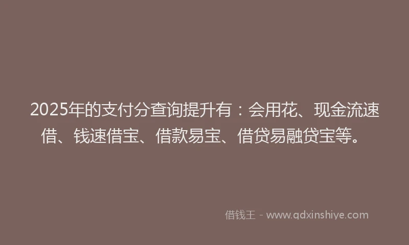 2025年的支付分查询提升有：会用花、现金流速借、钱速借宝、借款易宝、借贷易融贷宝等。