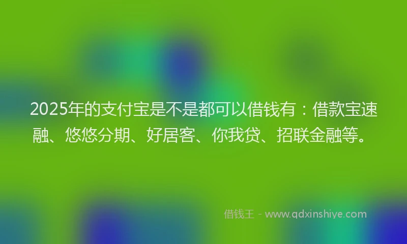 2025年的支付宝是不是都可以借钱有：借款宝速融、悠悠分期、好居客、你我贷、招联金融等。