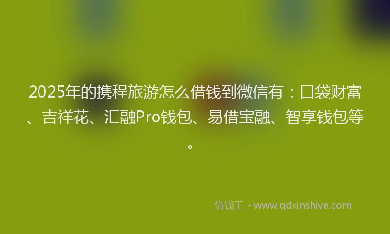 2025年的携程旅游怎么借钱到微信有：口袋财富、吉祥花、汇融Pro钱包、易借宝融、智享钱包等。