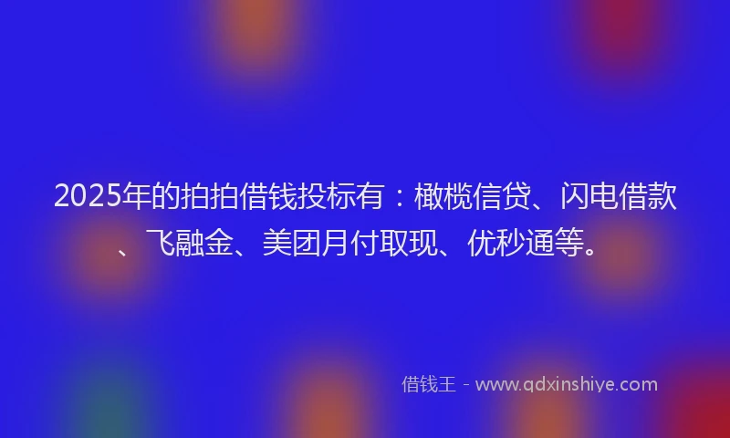 2025年的拍拍借钱投标有：橄榄信贷、闪电借款、飞融金、美团月付取现、优秒通等。