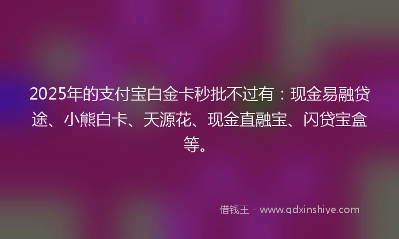 2025年的支付宝白金卡秒批不过有：现金易融贷途、小熊白卡、天源花、现金直融宝、闪贷宝盒等。
