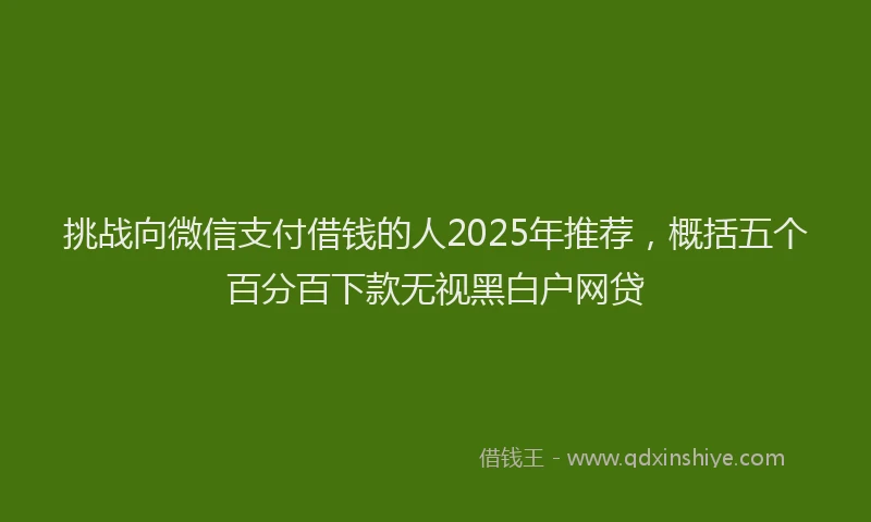 挑战向微信支付借钱的人2025年推荐，概括五个百分百下款无视黑白户网贷