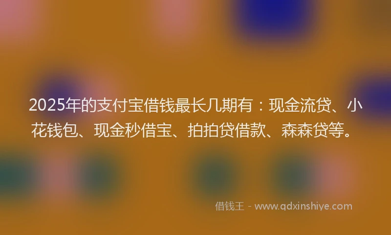 2025年的支付宝借钱最长几期有：现金流贷、小花钱包、现金秒借宝、拍拍贷借款、森森贷等。
