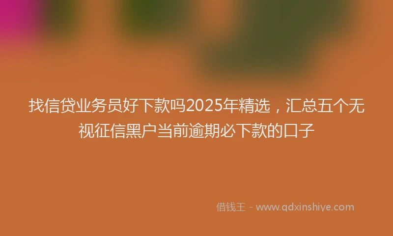 找信贷业务员好下款吗2025年精选，汇总五个无视征信黑户当前逾期必下款的口子