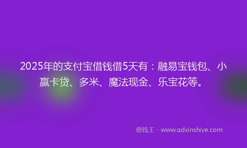 2025年的支付宝借钱借5天有：融易宝钱包、小赢卡贷、多米、魔法现金、乐宝花等。
