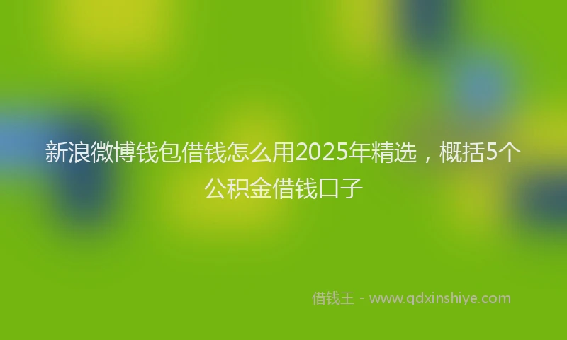 新浪微博钱包借钱怎么用2025年精选，概括5个公积金借钱口子