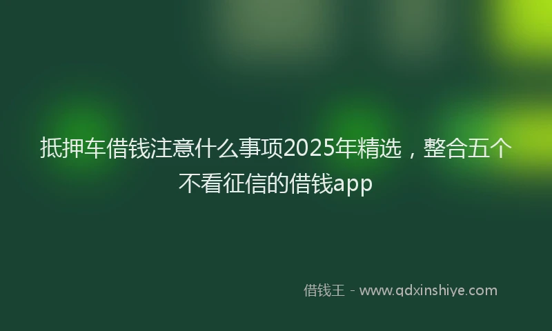抵押车借钱注意什么事项2025年精选，整合五个不看征信的借钱app