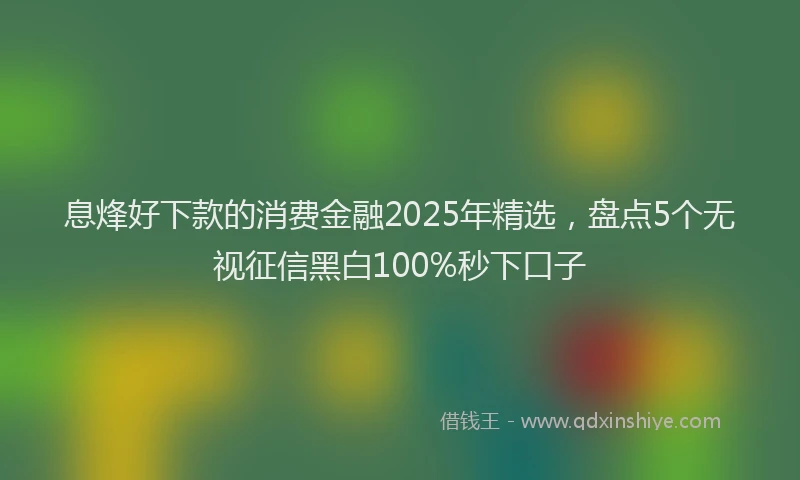 息烽好下款的消费金融2025年精选，盘点5个无视征信黑白100%秒下口子