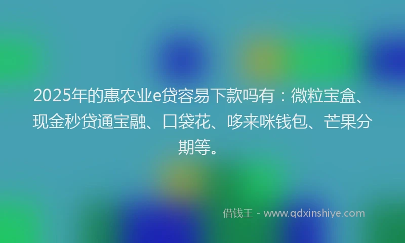 2025年的惠农业e贷容易下款吗有：微粒宝盒、现金秒贷通宝融、口袋花、哆来咪钱包、芒果分期等。