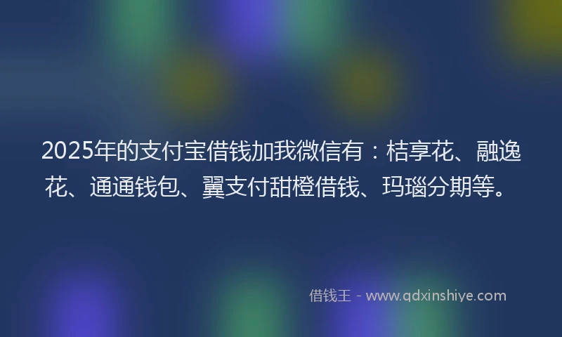 2025年的支付宝借钱加我微信有：桔享花、融逸花、通通钱包、翼支付甜橙借钱、玛瑙分期等。