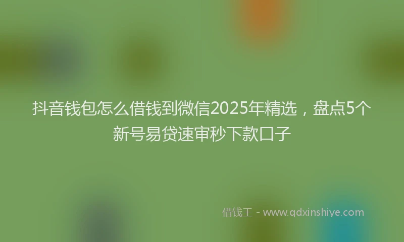 抖音钱包怎么借钱到微信2025年精选，盘点5个新号易贷速审秒下款口子