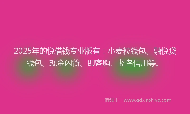 2025年的悦借钱专业版有：小麦粒钱包、融悦贷钱包、现金闪贷、即客购、蓝鸟信用等。