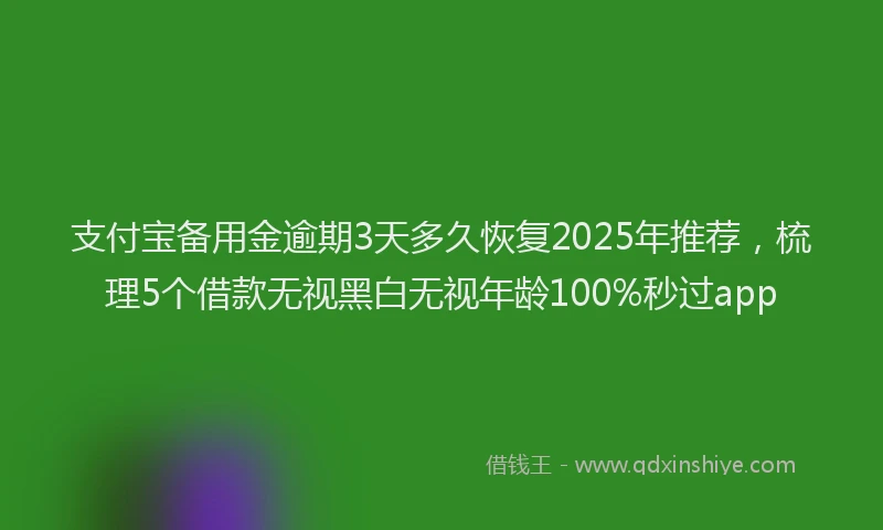 支付宝备用金逾期3天多久恢复2025年推荐，梳理5个借款无视黑白无视年龄100%秒过app