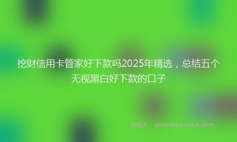 挖财信用卡管家好下款吗2025年精选，总结五个无视黑白好下款的口子