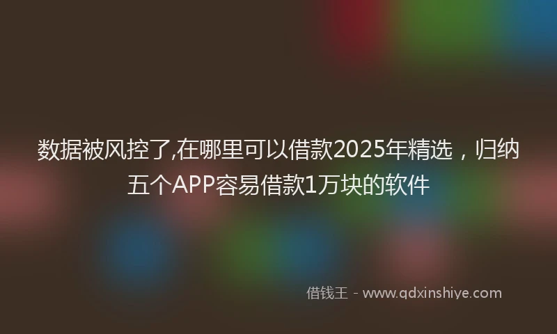 数据被风控了,在哪里可以借款2025年精选，归纳五个APP容易借款1万块的软件
