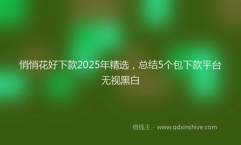 悄悄花好下款2025年精选，总结5个包下款平台无视黑白