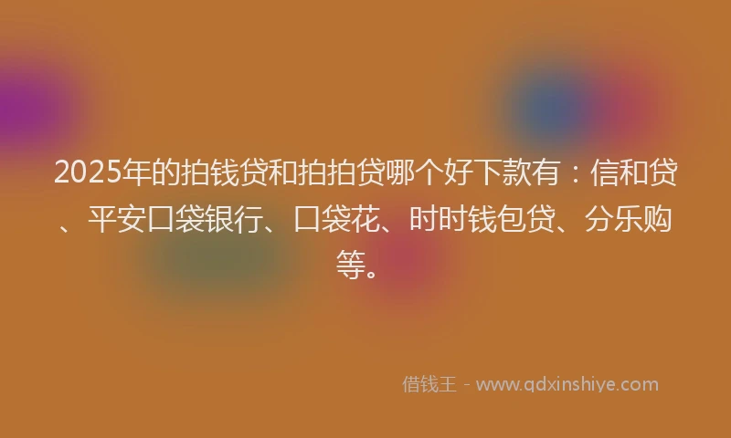 2025年的拍钱贷和拍拍贷哪个好下款有：信和贷、平安口袋银行、口袋花、时时钱包贷、分乐购等。