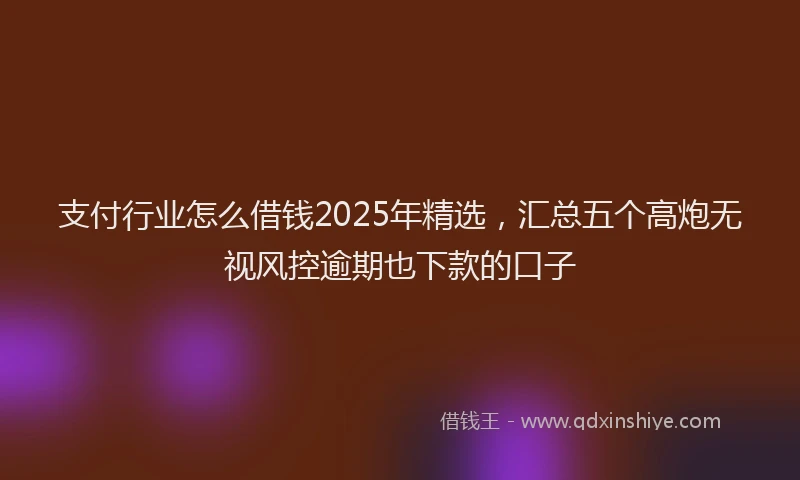 支付行业怎么借钱2025年精选，汇总五个高炮无视风控逾期也下款的口子