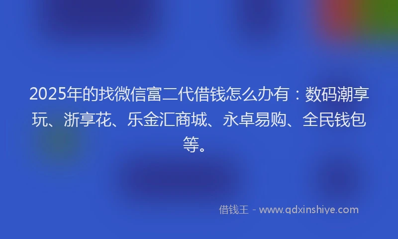 2025年的找微信富二代借钱怎么办有：数码潮享玩、浙享花、乐金汇商城、永卓易购、全民钱包等。