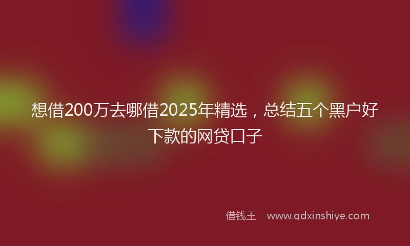 想借200万去哪借2025年精选，总结五个黑户好下款的网贷口子