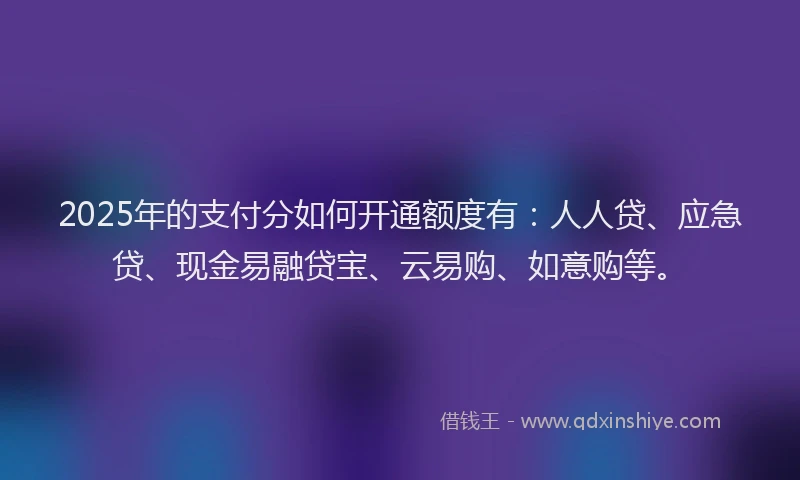 2025年的支付分如何开通额度有：人人贷、应急贷、现金易融贷宝、云易购、如意购等。