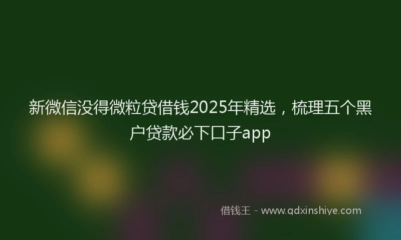 新微信没得微粒贷借钱2025年精选，梳理五个黑户贷款必下口子app