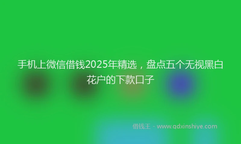 手机上微信借钱2025年精选，盘点五个无视黑白花户的下款口子