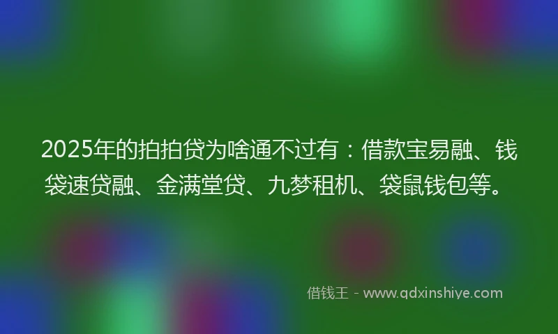 2025年的拍拍贷为啥通不过有：借款宝易融、钱袋速贷融、金满堂贷、九梦租机、袋鼠钱包等。