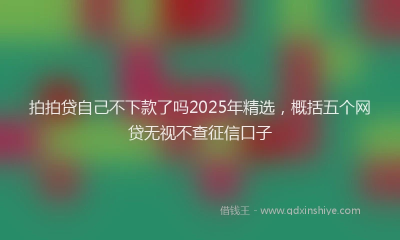 拍拍贷自己不下款了吗2025年精选，概括五个网贷无视不查征信口子