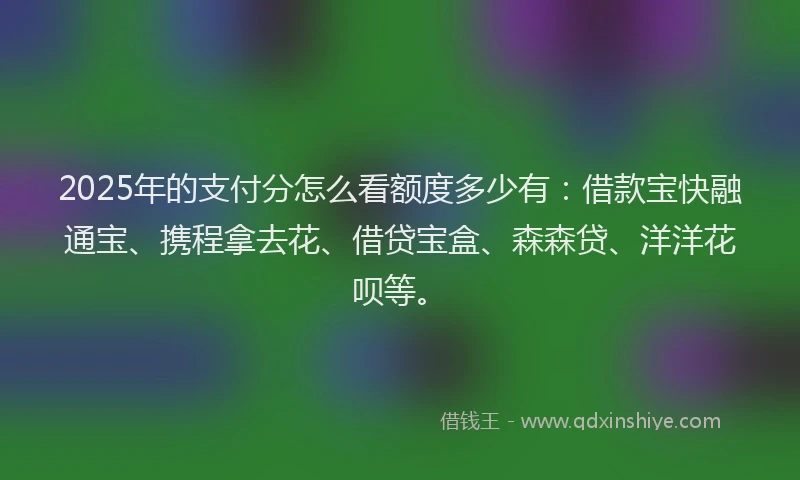 2025年的支付分怎么看额度多少有：借款宝快融通宝、携程拿去花、借贷宝盒、森森贷、洋洋花呗等。
