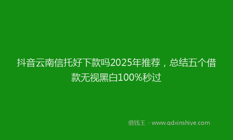 抖音云南信托好下款吗2025年推荐，总结五个借款无视黑白100%秒过