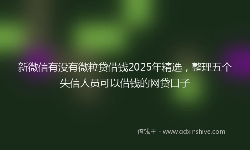 新微信有没有微粒贷借钱2025年精选，整理五个失信人员可以借钱的网贷口子