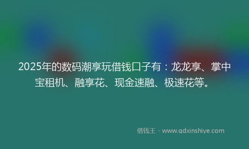 2025年的数码潮享玩借钱口子有：龙龙享、掌中宝租机、融享花、现金速融、极速花等。