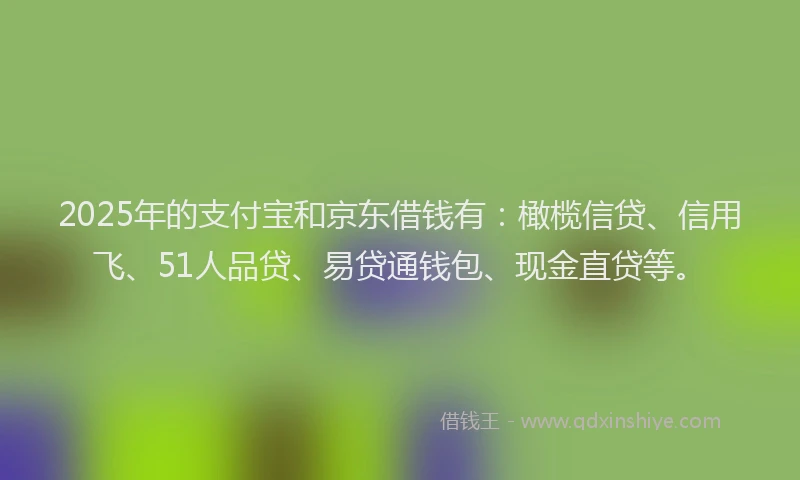 2025年的支付宝和京东借钱有：橄榄信贷、信用飞、51人品贷、易贷通钱包、现金直贷等。