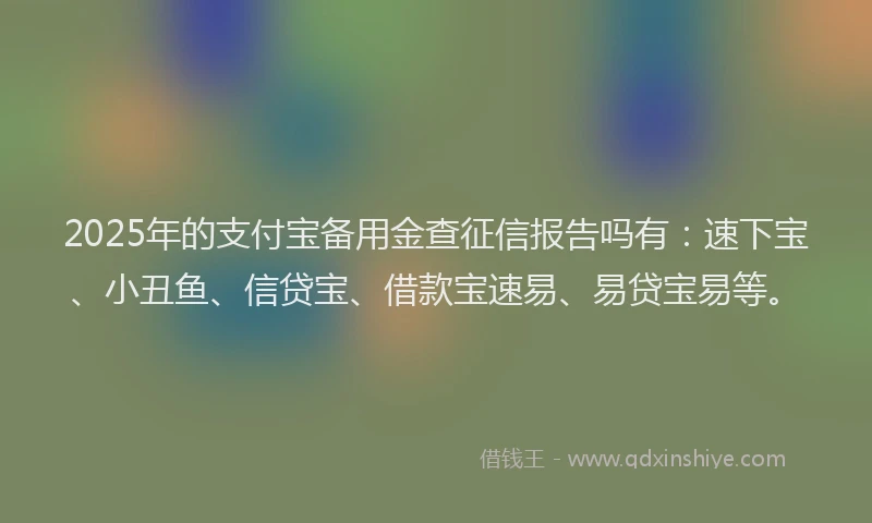 2025年的支付宝备用金查征信报告吗有：速下宝、小丑鱼、信贷宝、借款宝速易、易贷宝易等。