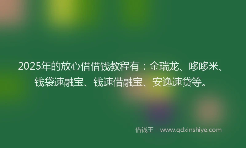 2025年的放心借借钱教程有：金瑞龙、哆哆米、钱袋速融宝、钱速借融宝、安逸速贷等。