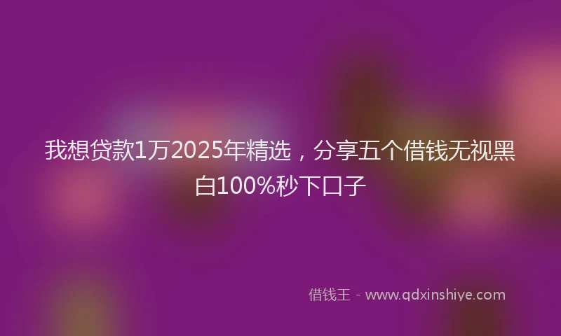 我想贷款1万2025年精选，分享五个借钱无视黑白100%秒下口子