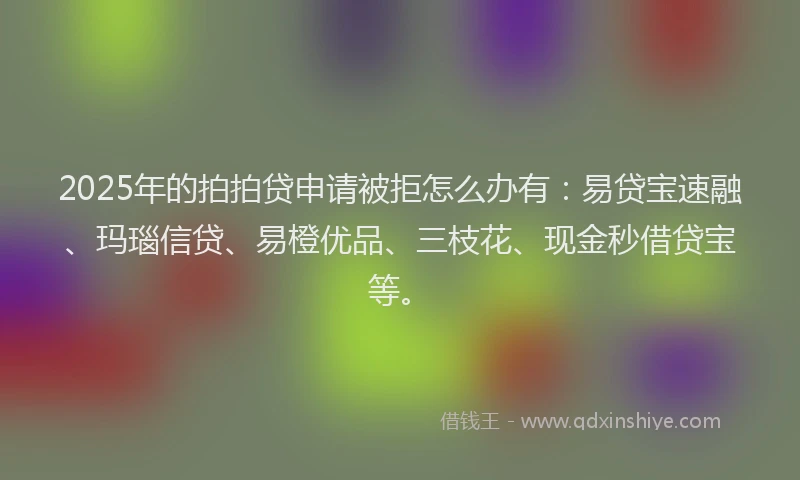 2025年的拍拍贷申请被拒怎么办有：易贷宝速融、玛瑙信贷、易橙优品、三枝花、现金秒借贷宝等。