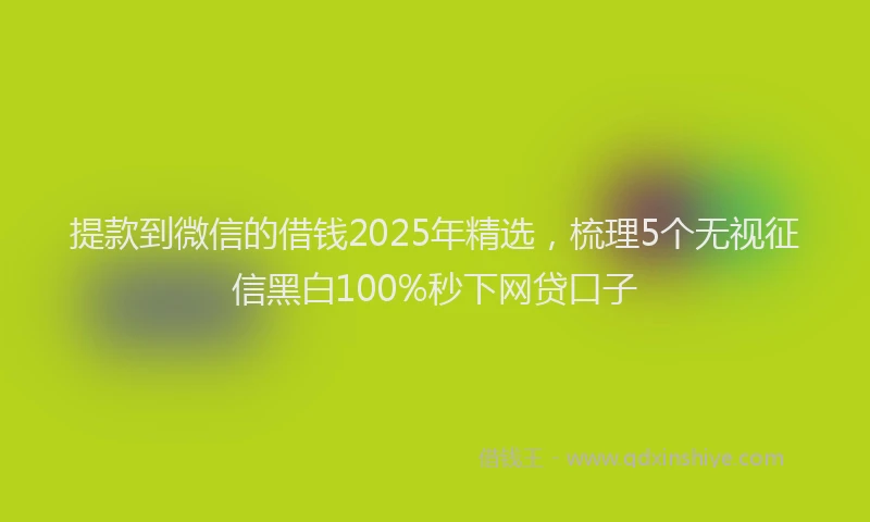 提款到微信的借钱2025年精选，梳理5个无视征信黑白100%秒下网贷口子