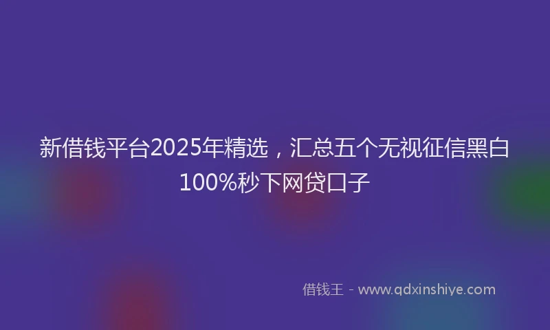 新借钱平台2025年精选，汇总五个无视征信黑白100%秒下网贷口子